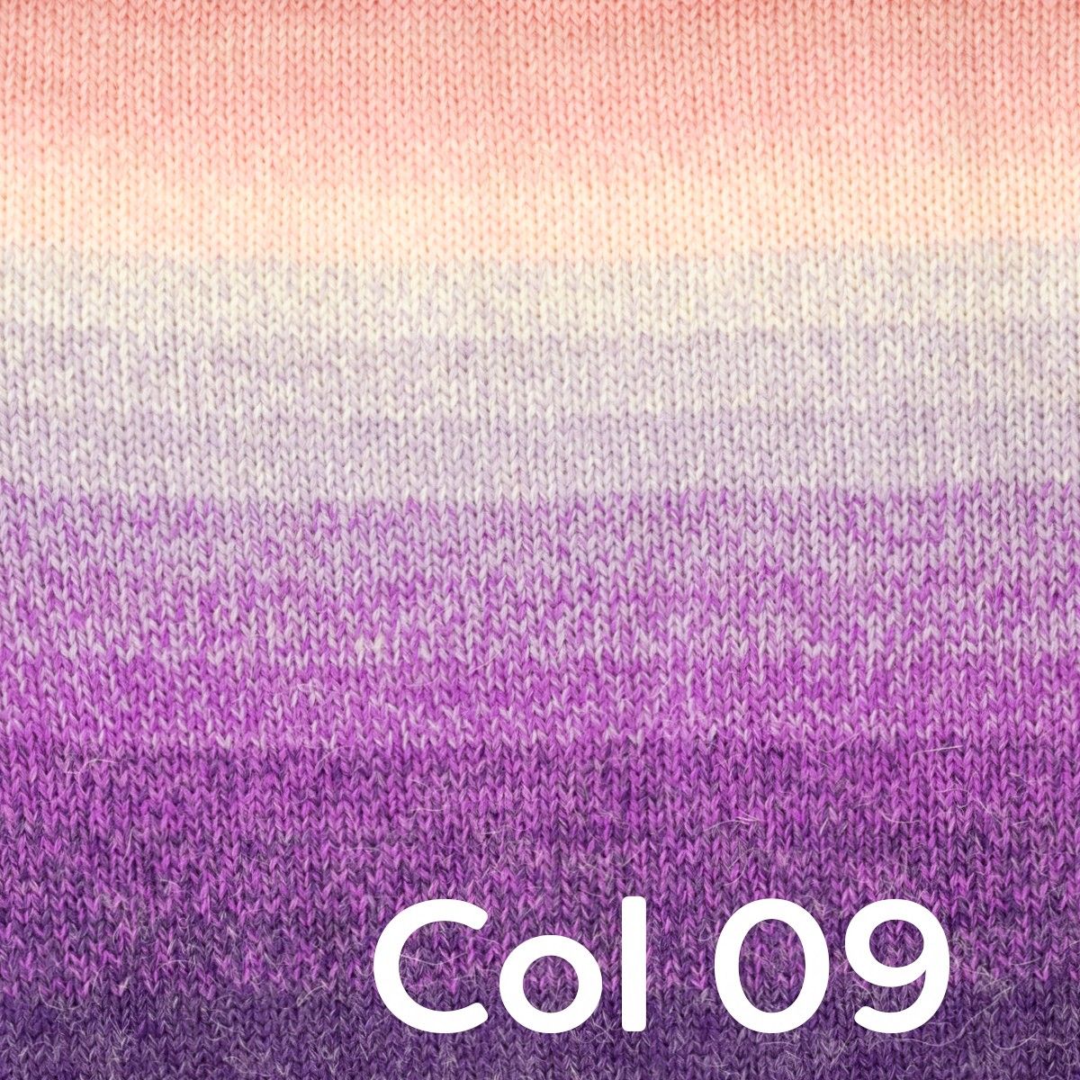 Wheel of Alpaca - Image 11