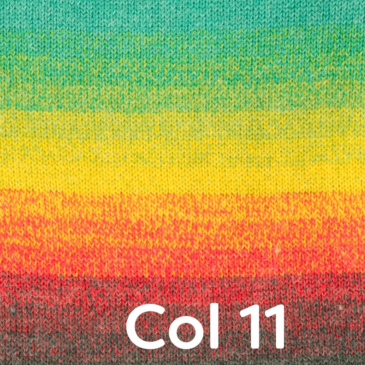 Wheel of Alpaca - Image 13