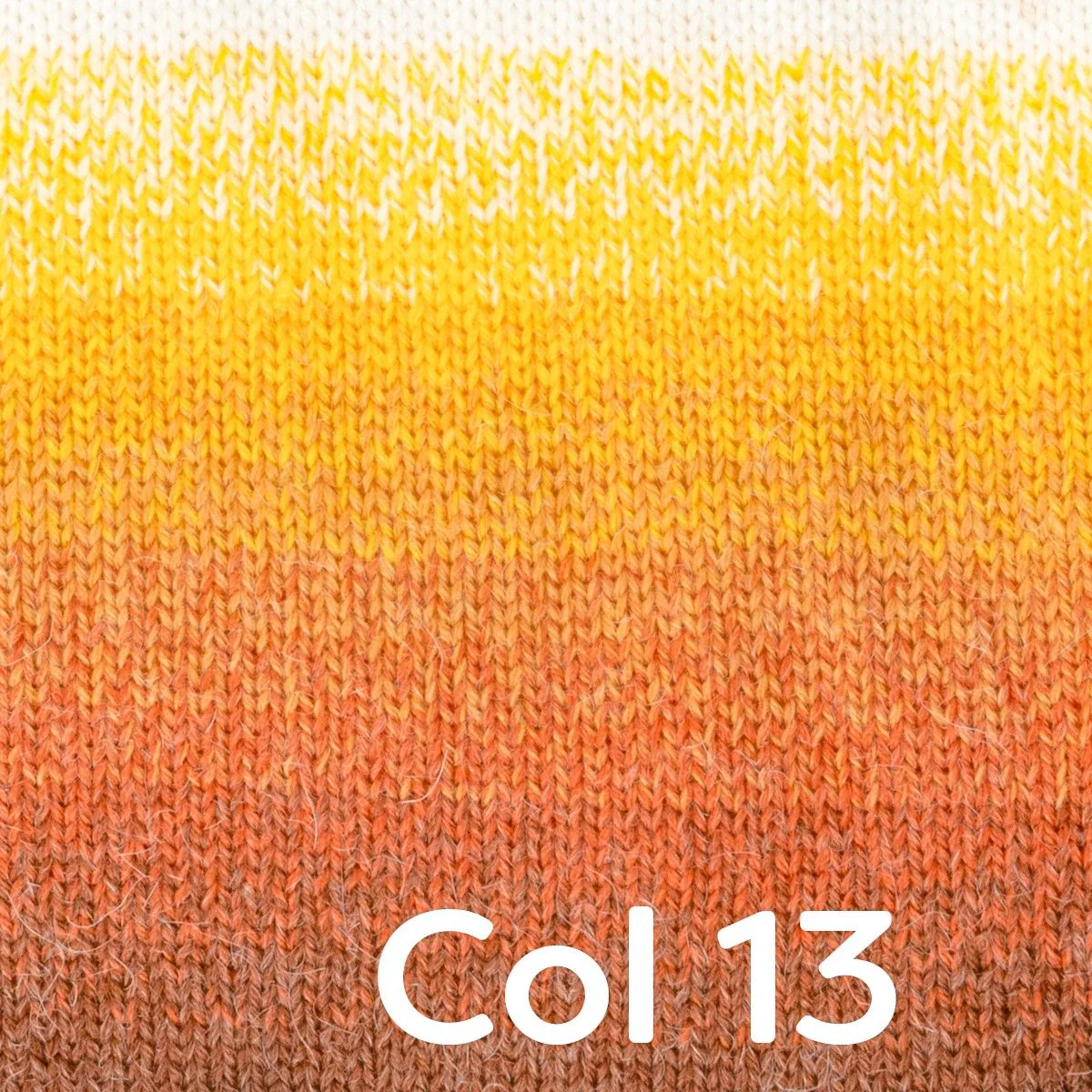 Wheel of Alpaca - Image 15