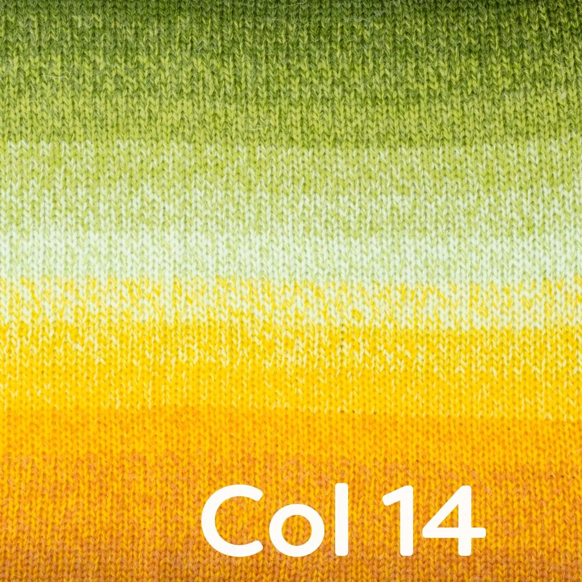 Wheel of Alpaca - Image 16