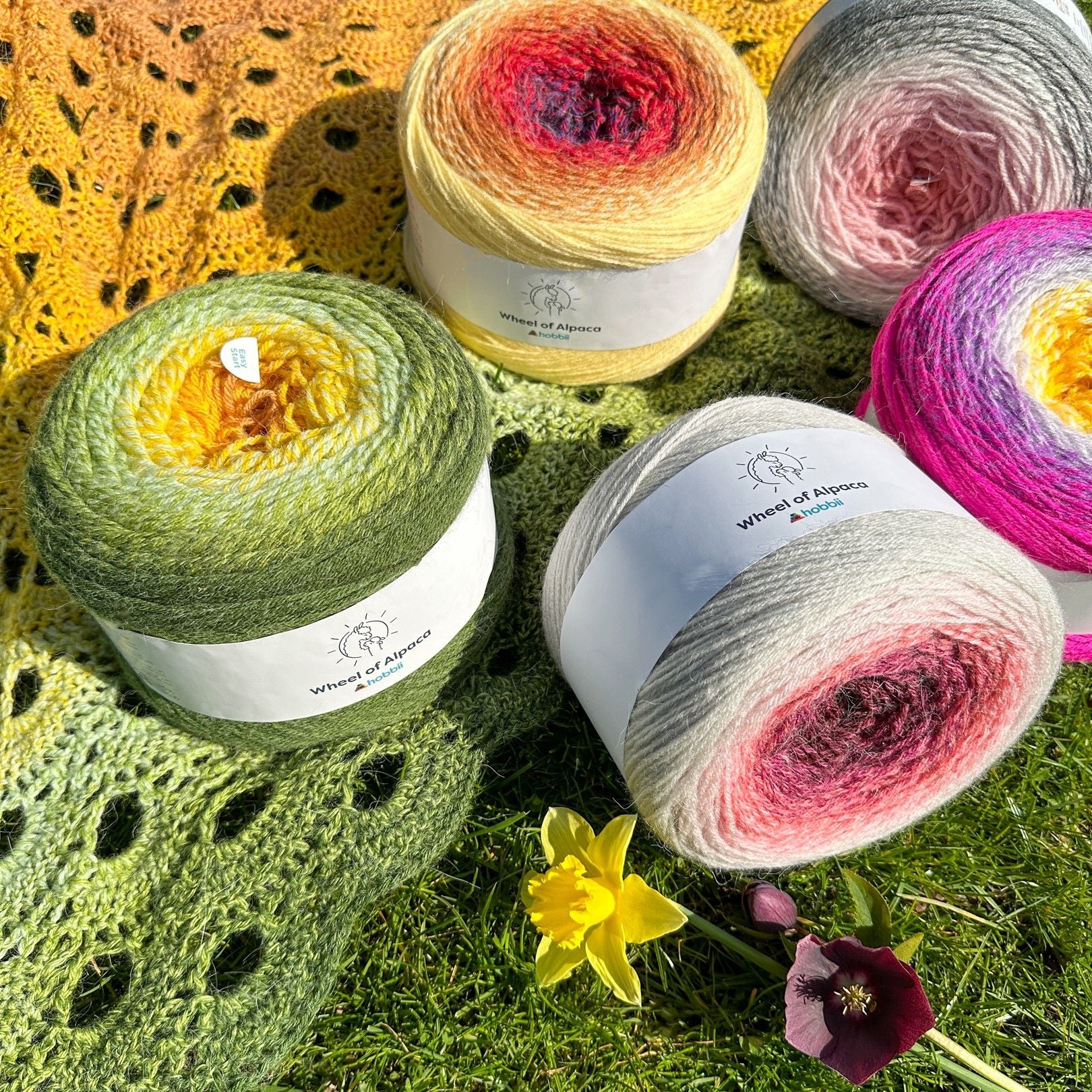 Wheel of Alpaca - Image 18