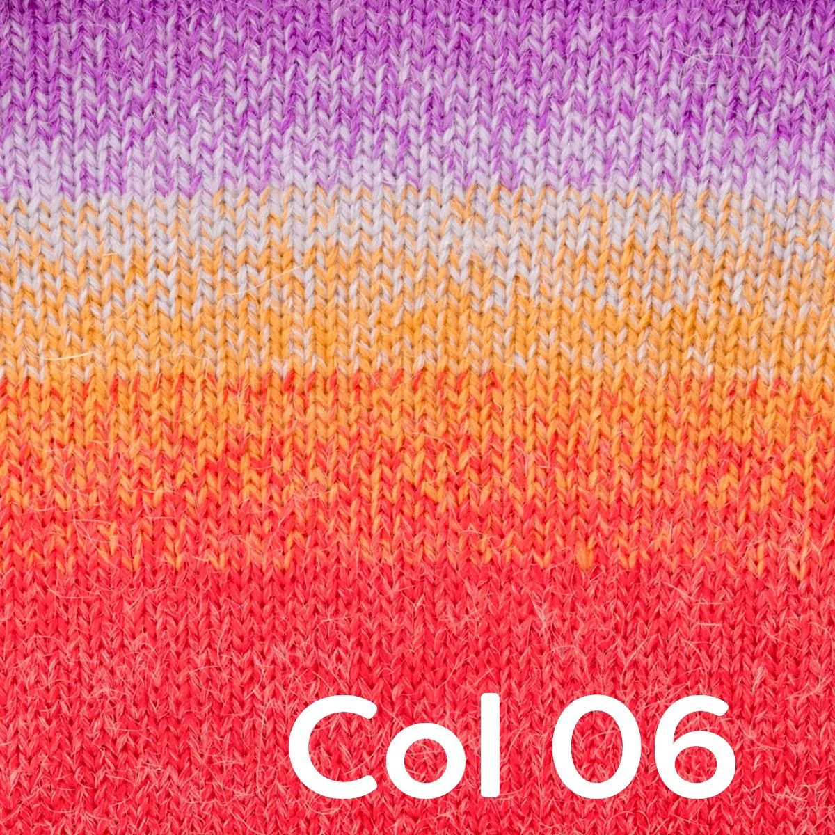 Wheel of Alpaca - Image 8