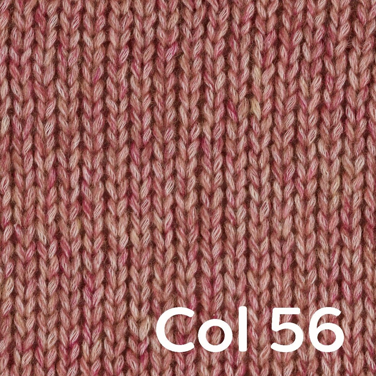 Portobello - Image 12