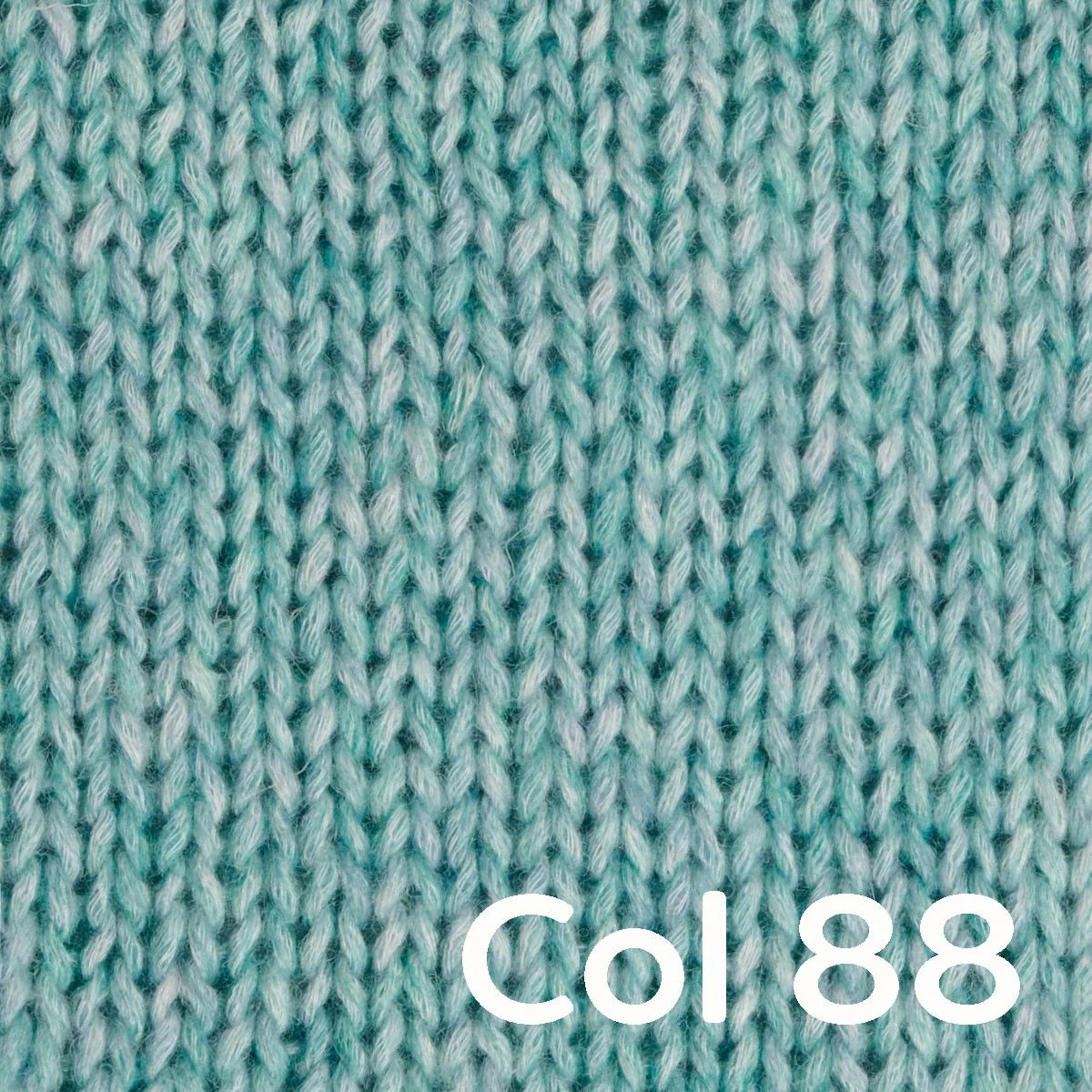 Portobello - Image 17