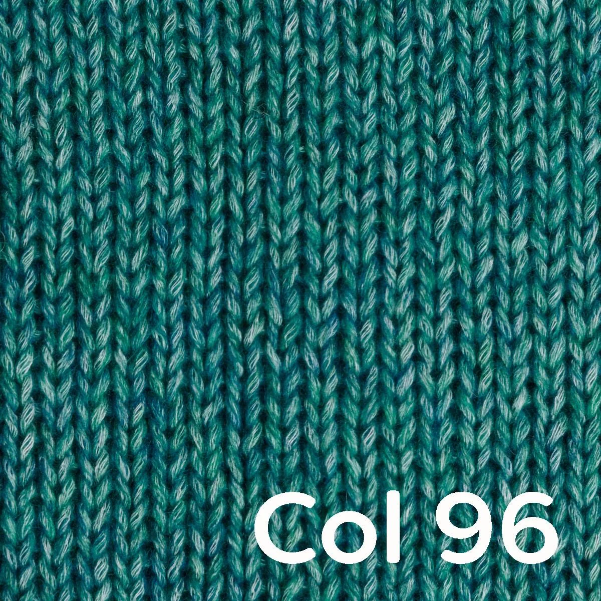 Portobello - Image 18