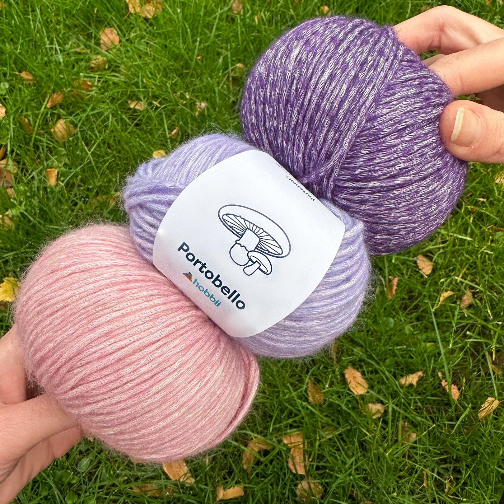 Portobello - Image 24