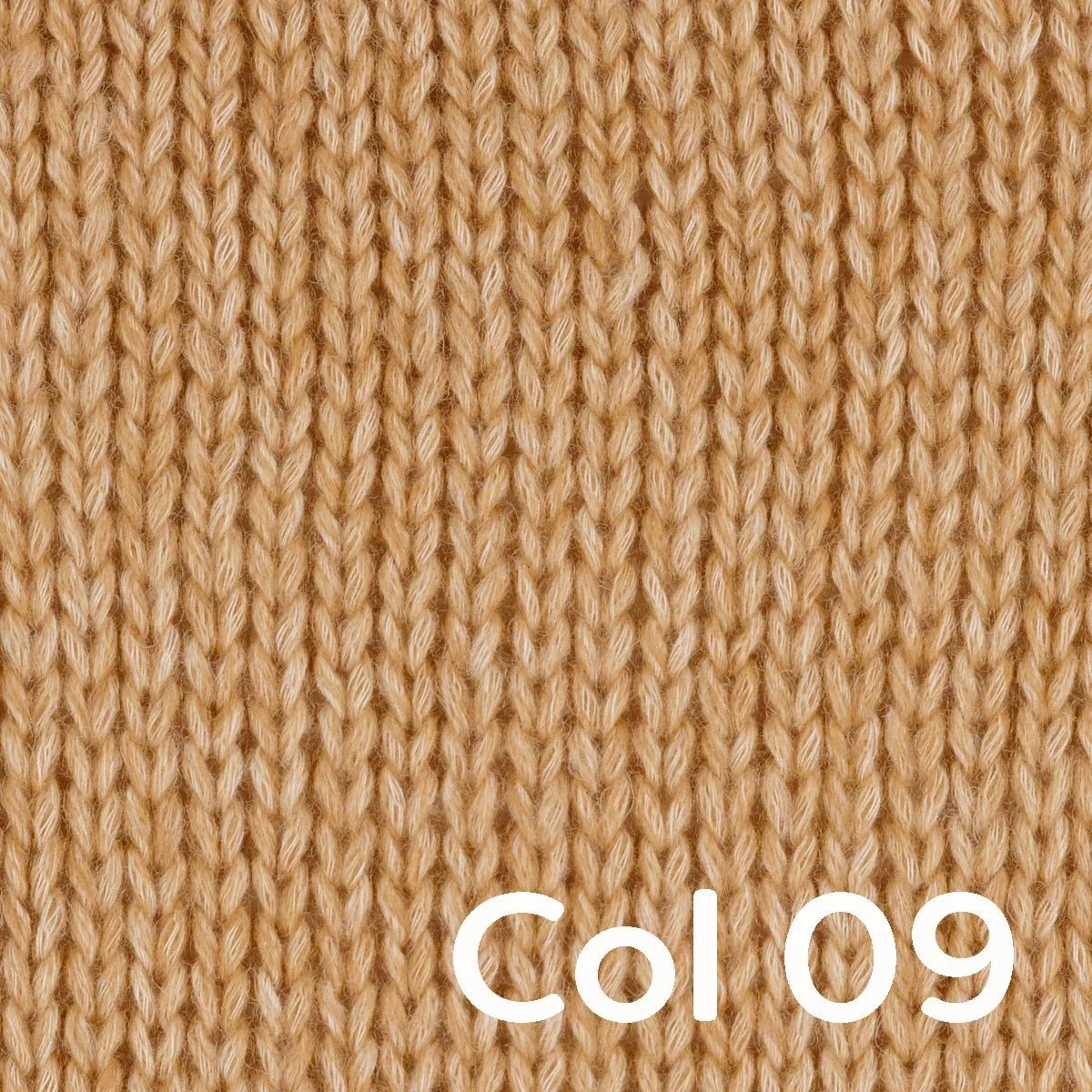 Portobello - Image 5