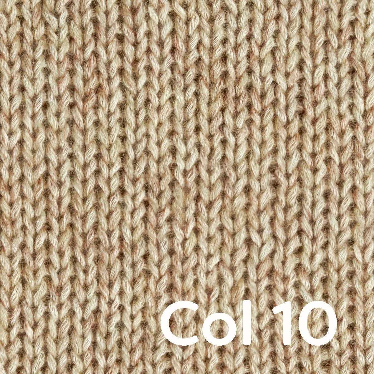 Portobello - Image 6