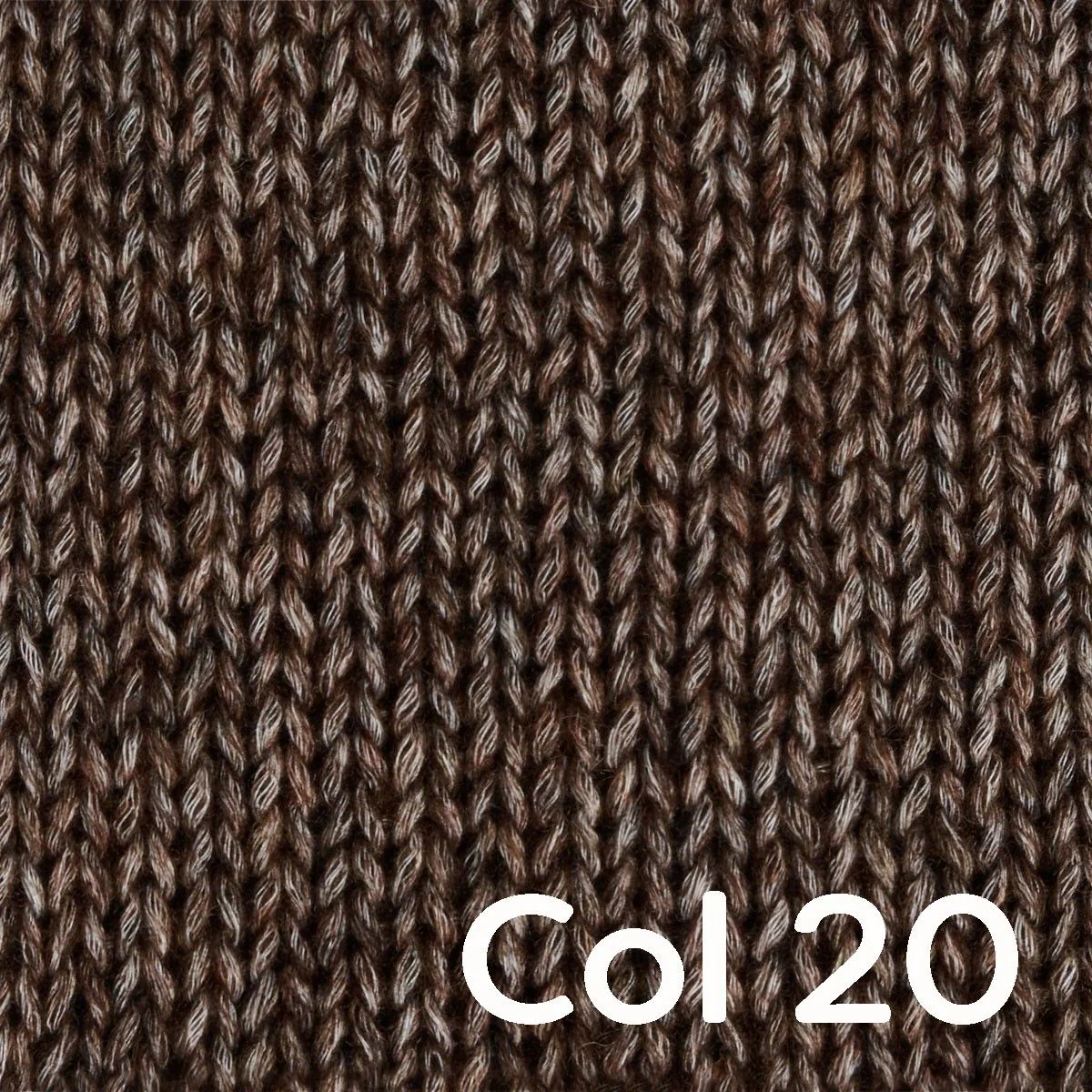 Portobello - Image 8