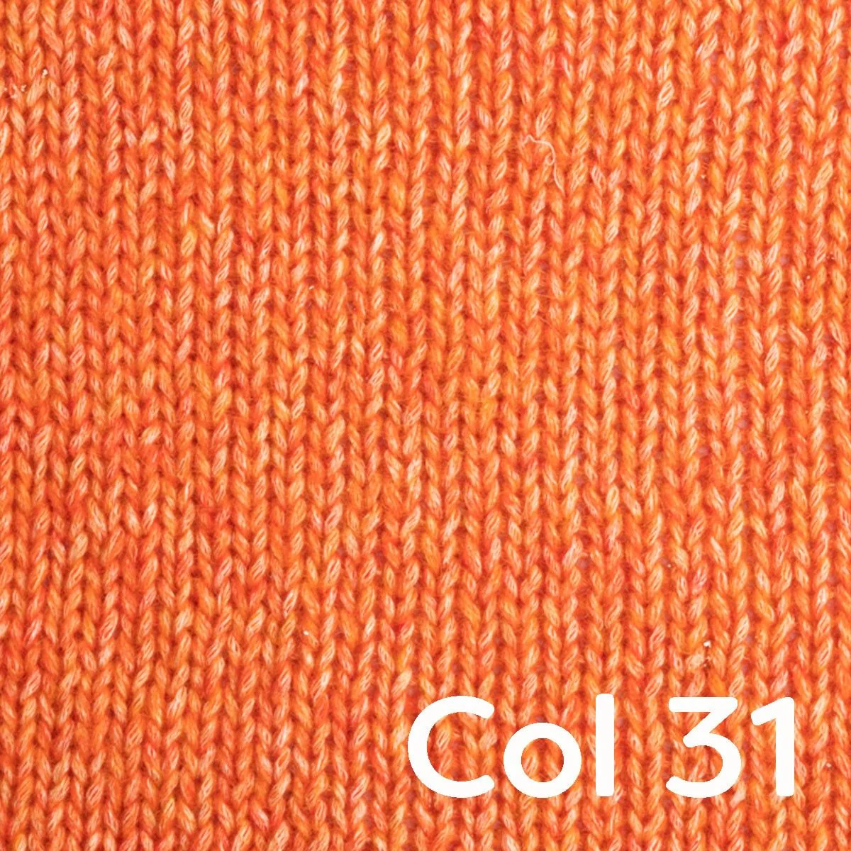 Portobello - Image 9